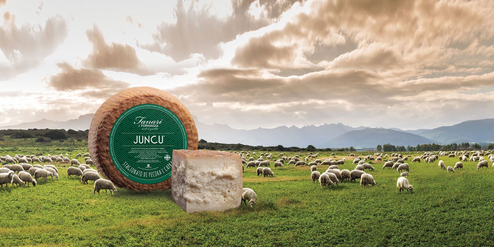 Fanari Formaggi Juncu Stagionato di pecora e capra
