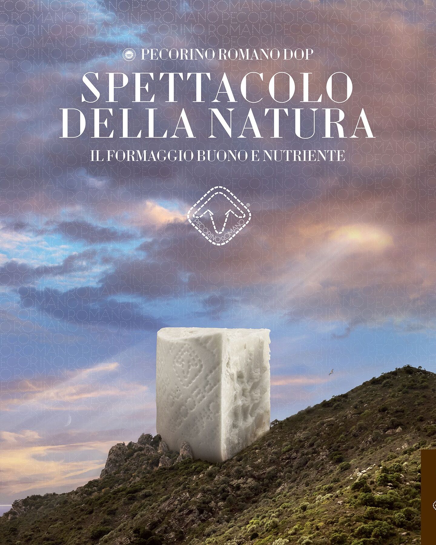 pecorino romano in una montagna.