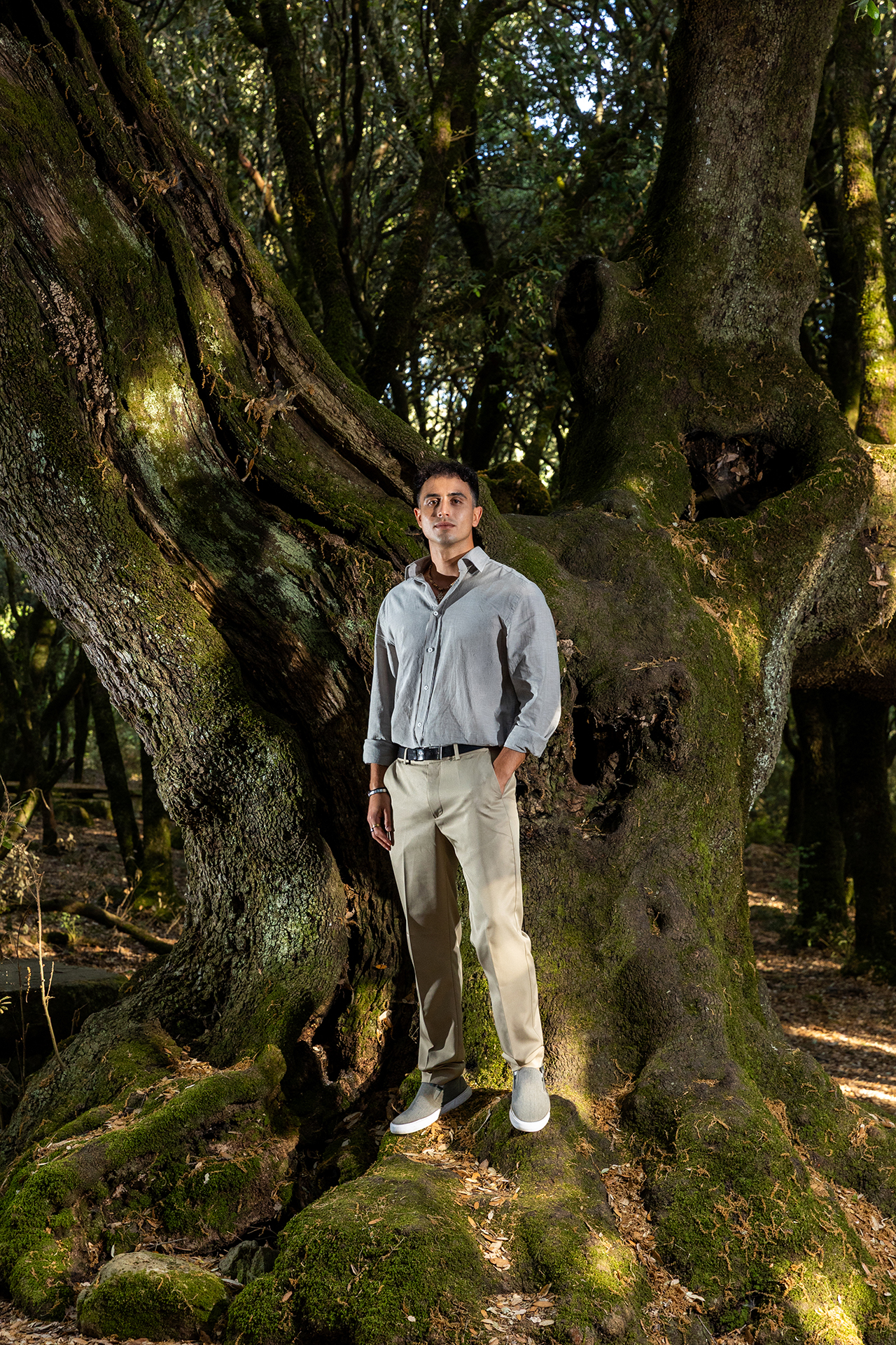 Alessio-Ortu-Web-Designer-SEDPLUS